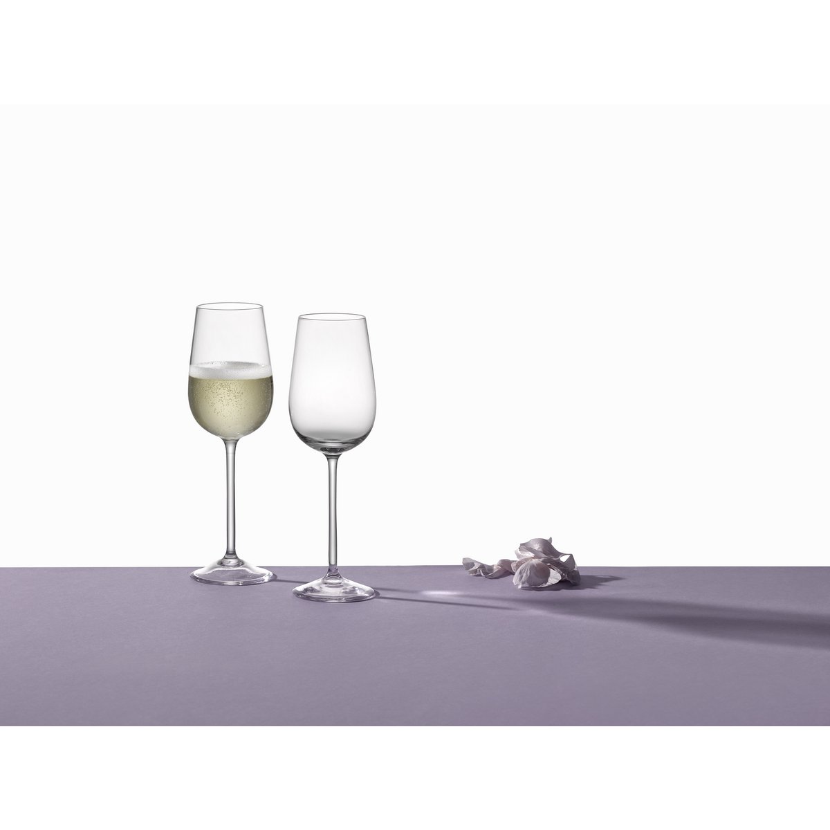 Prosecco-Gläser / Sektflöten PFINGSTROSE 150ml 6er-SetDE 6